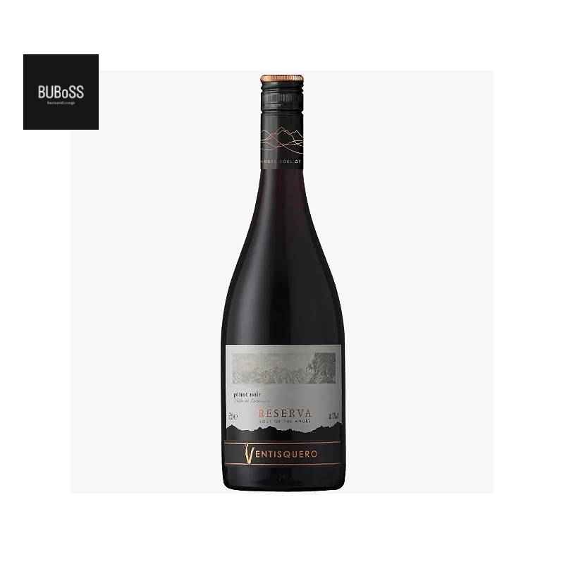 Ventisquero Pinot Noir